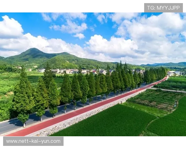 专家提醒：乡村步道建设需兼顾农事通行与生态保护